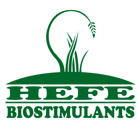 Hefebiostimulants